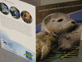 Adopt A Seal Brochure